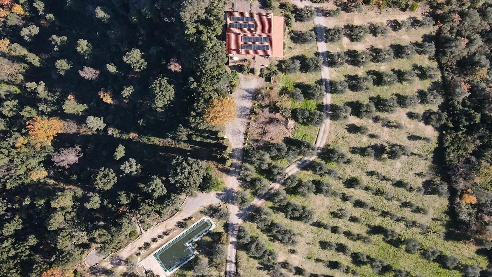 Agriturismo Campo Al Crognolo Sassofortino