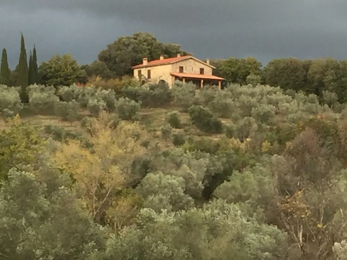 Agriturismo Campo Al Crognolo Sassofortino Farm stay