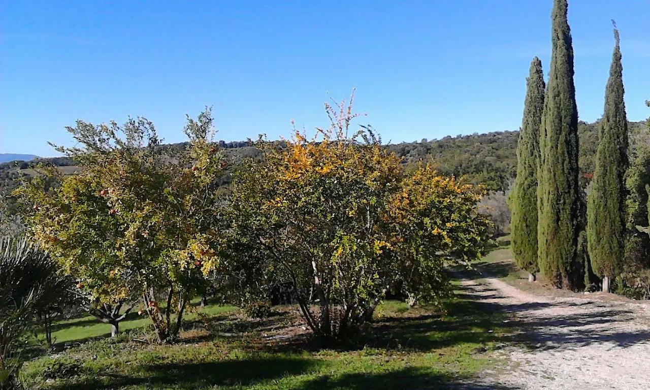 Agriturismo Campo Al Crognolo Sassofortino