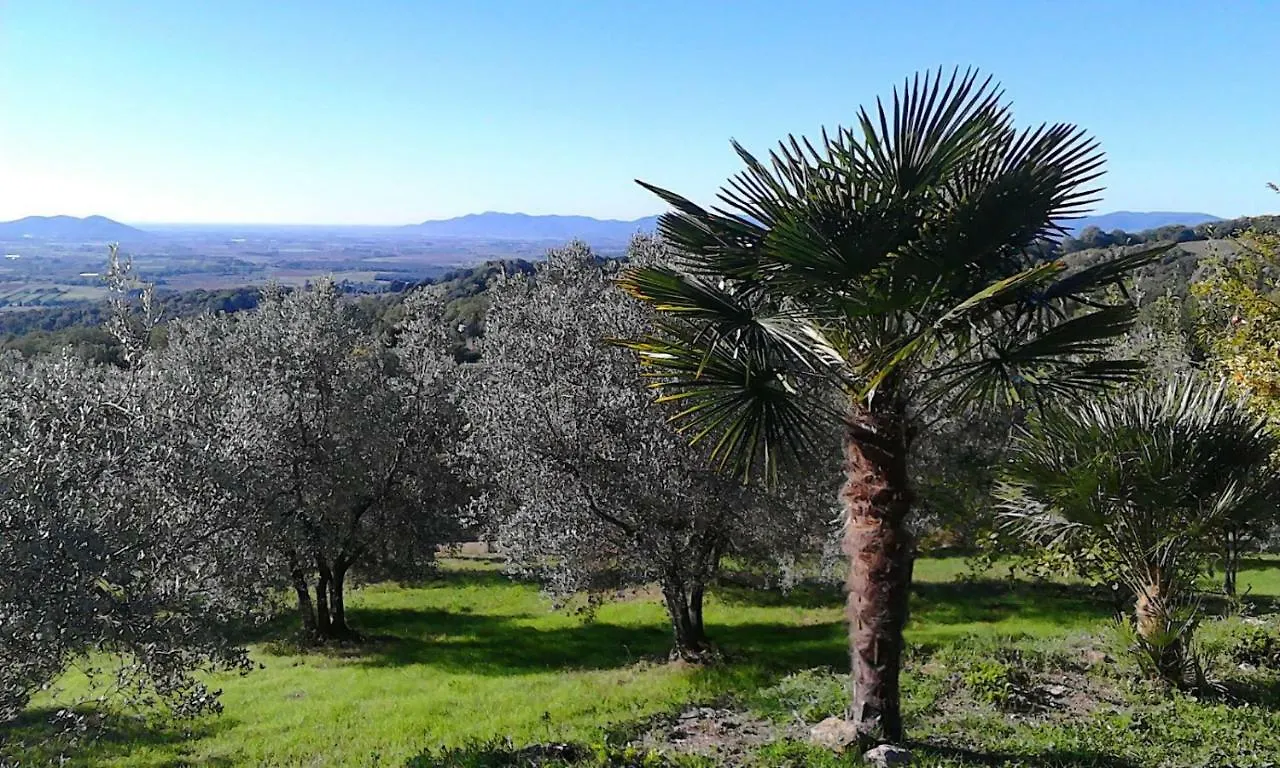 Farm stay Agriturismo Campo Al Crognolo Sassofortino